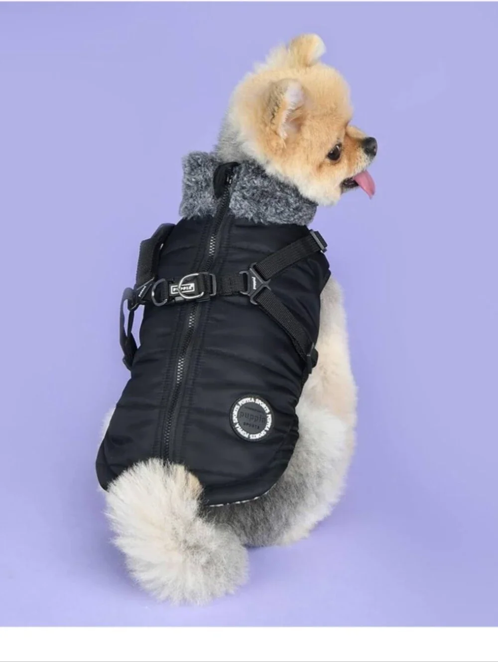 Puppia quilted dog